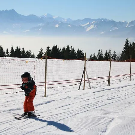 Lejlighed Les Narcisses Blonay