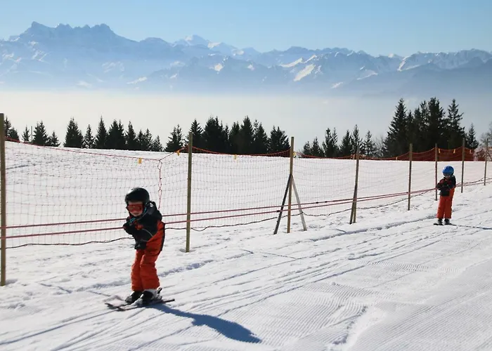 Apartament Les Narcisses Blonay